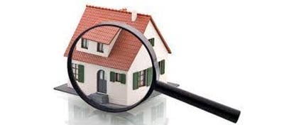 Pre-Purchase Pest Inspection Seaford