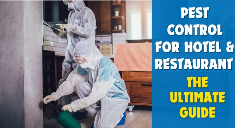 Pest Control for Hotel & Restaurant – The Ultimate Guide